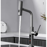 Straight pull-out kitchen mixer with temperature display