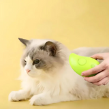 Pets for dogs and cats Electric Spray Brush Massage Comb