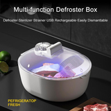 4-in-1 Kitchen Food Defroster