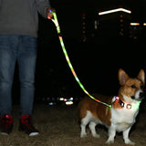 LED light-emitting dog collar traction rope chest strap size size universal