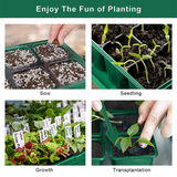 Mini Greenhouse Nursery Tray