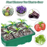 Mini Greenhouse Nursery Tray