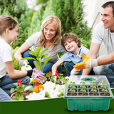 Mini Greenhouse Nursery Tray