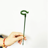 🔥Plant Support Stake(10PCS)