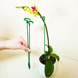 🔥Plant Support Stake(10PCS)